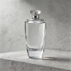 TB59 100ml Luxury Clear Glass Perfume Bottle